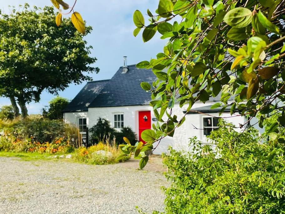 The Dairy @ Trefechan Wen Goodwick Dış mekan fotoğraf